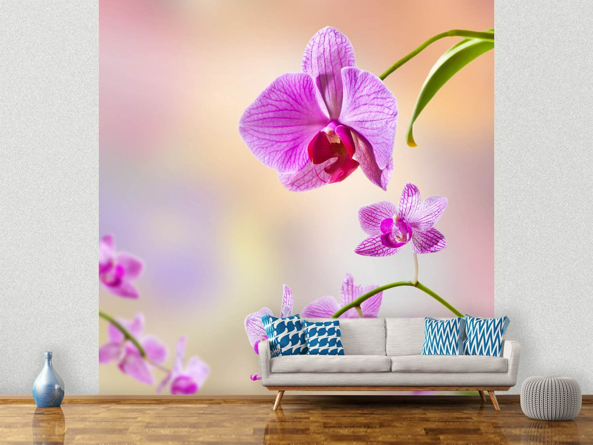 photo-wallpaper-romantic-orchids