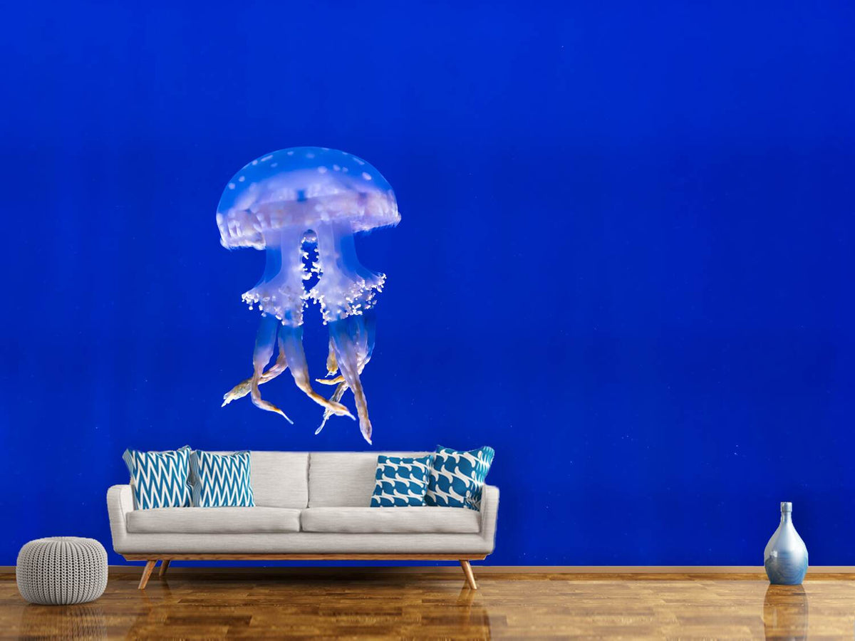 photo-wallpaper-glowing-jellyfish