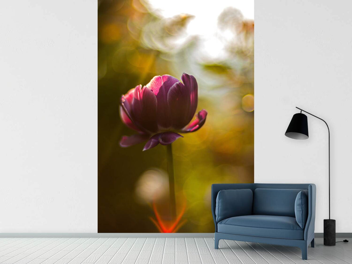 photo-wallpaper-dark-tulips-beauty