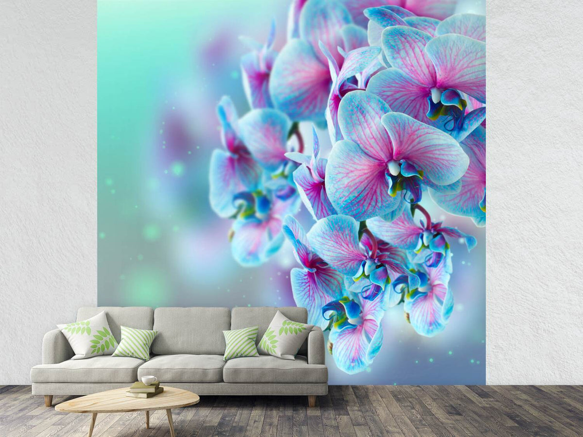 photo-wallpaper-colored-orchids