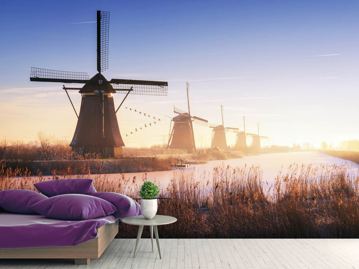 photo-wallpaper-kinderdijk-iv