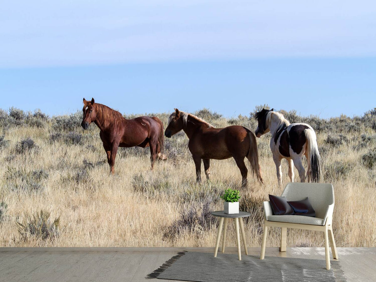 photo-wallpaper-3-horses-in-nature