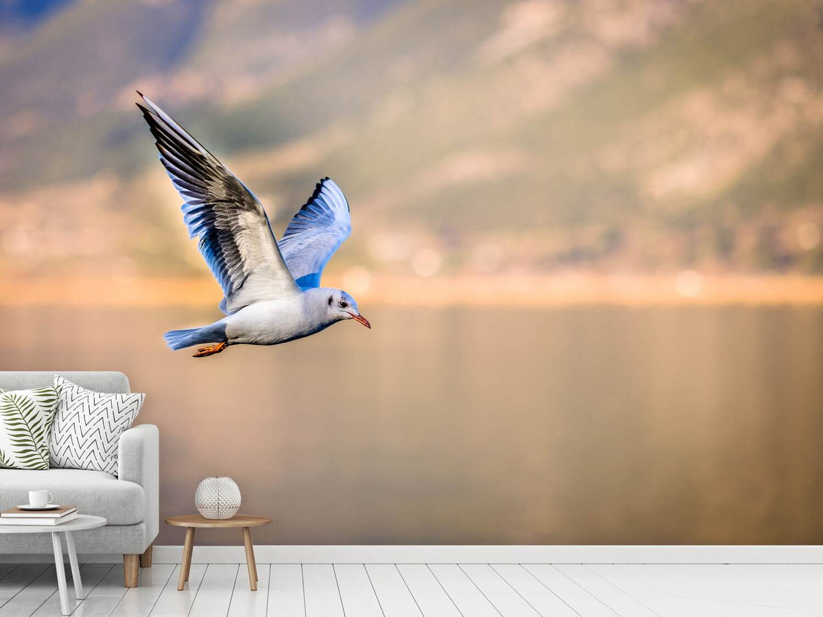 photo-wallpaper-the-flying-seagull