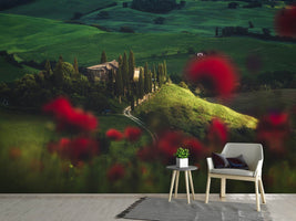 photo-wallpaper-tuscany-spring-blossoms